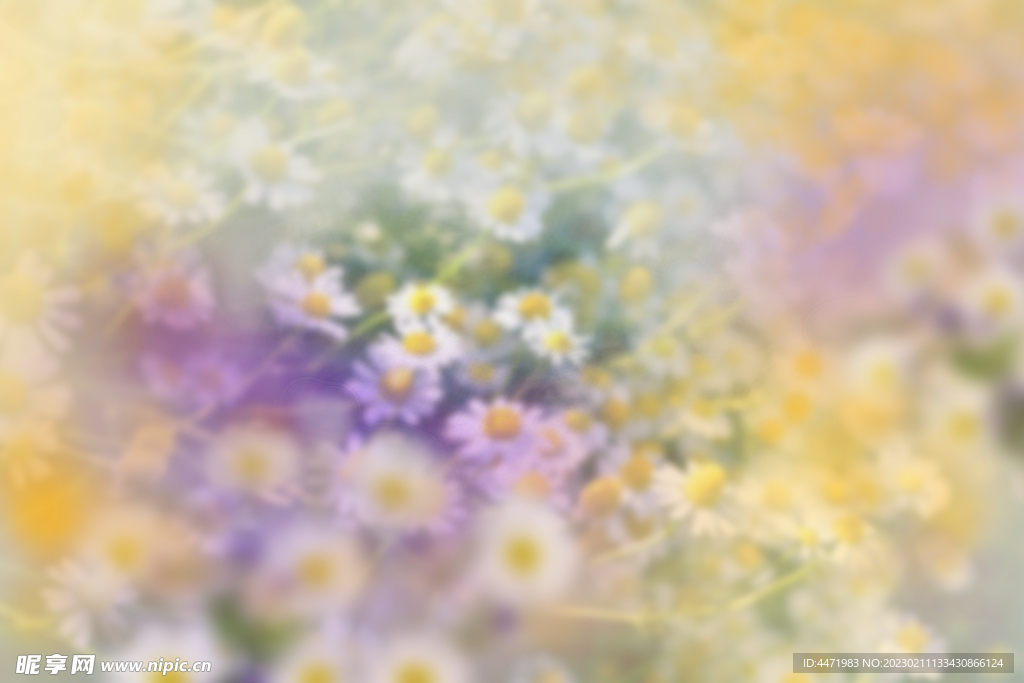 鲜花背景溶图