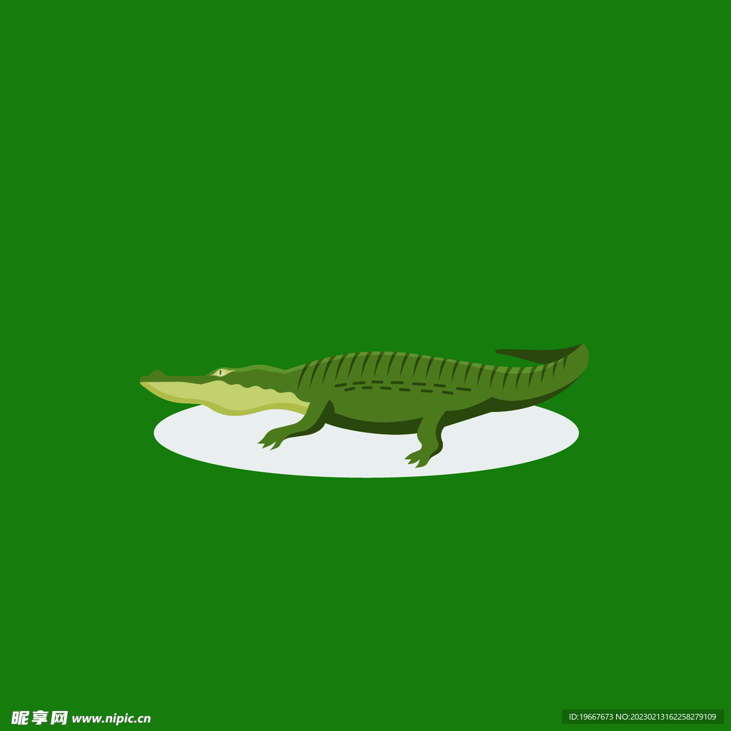 动物 