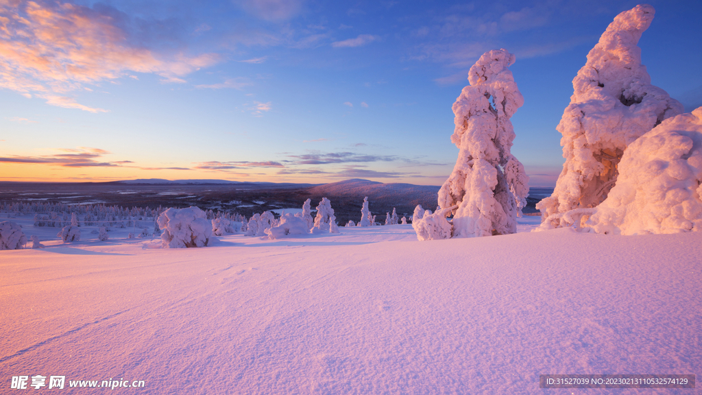 森林雪景