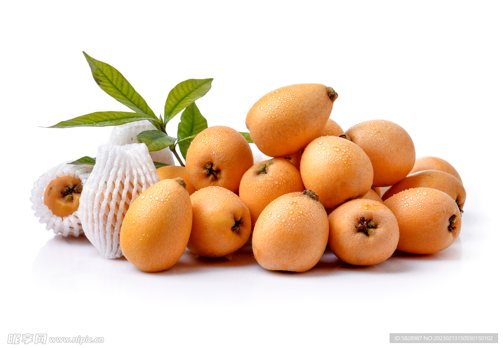 高清枇杷果产品图