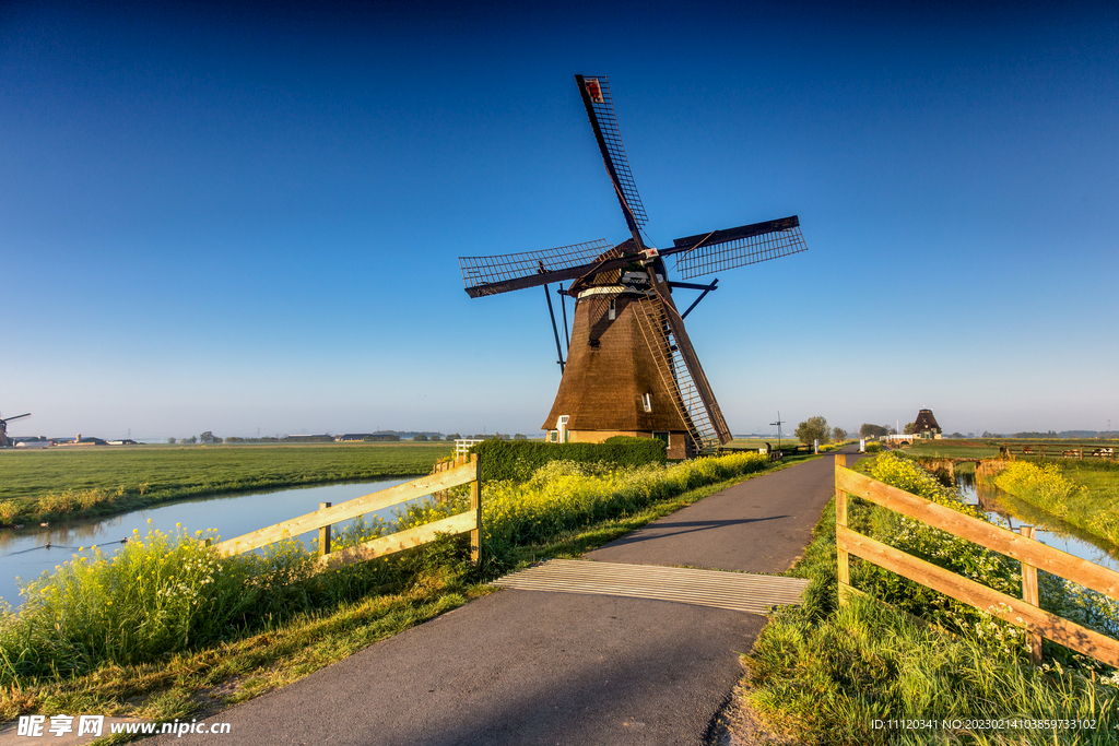 道路旁的风车屋与花草摄影