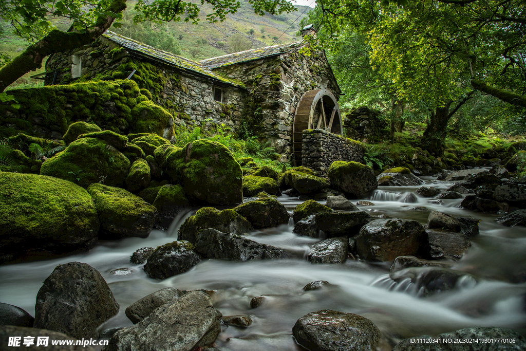 溪流与长满青苔的岩石摄影