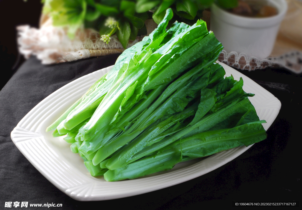 凤尾