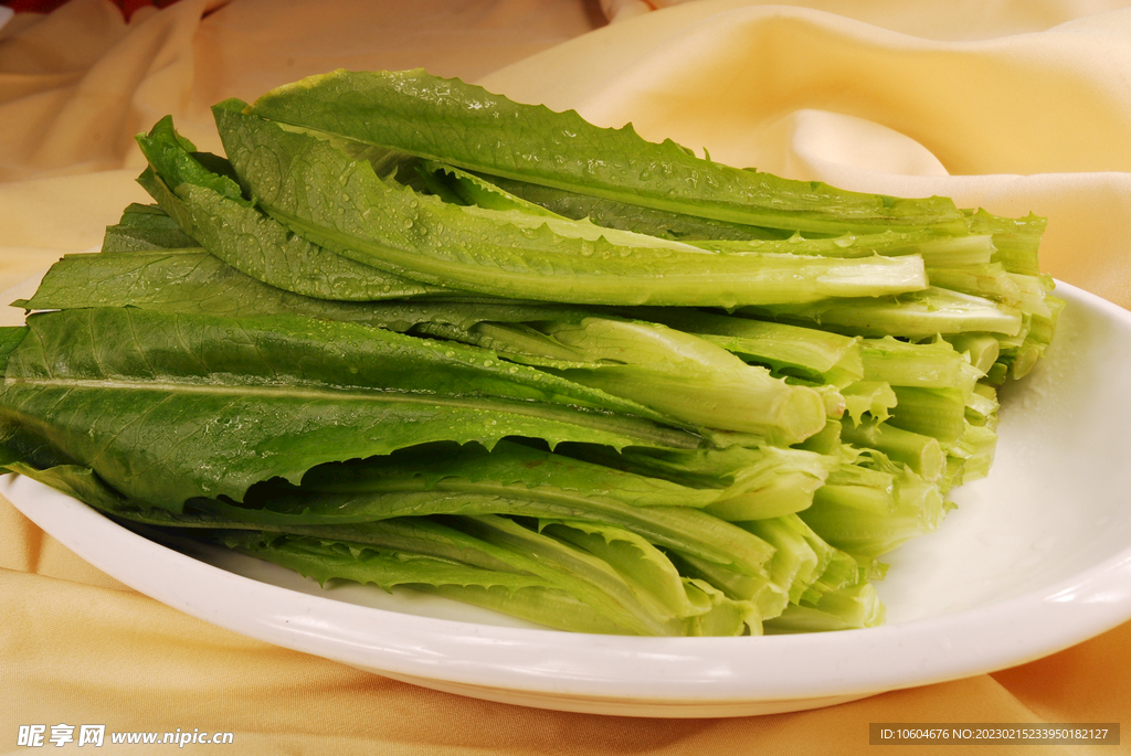 油麦菜