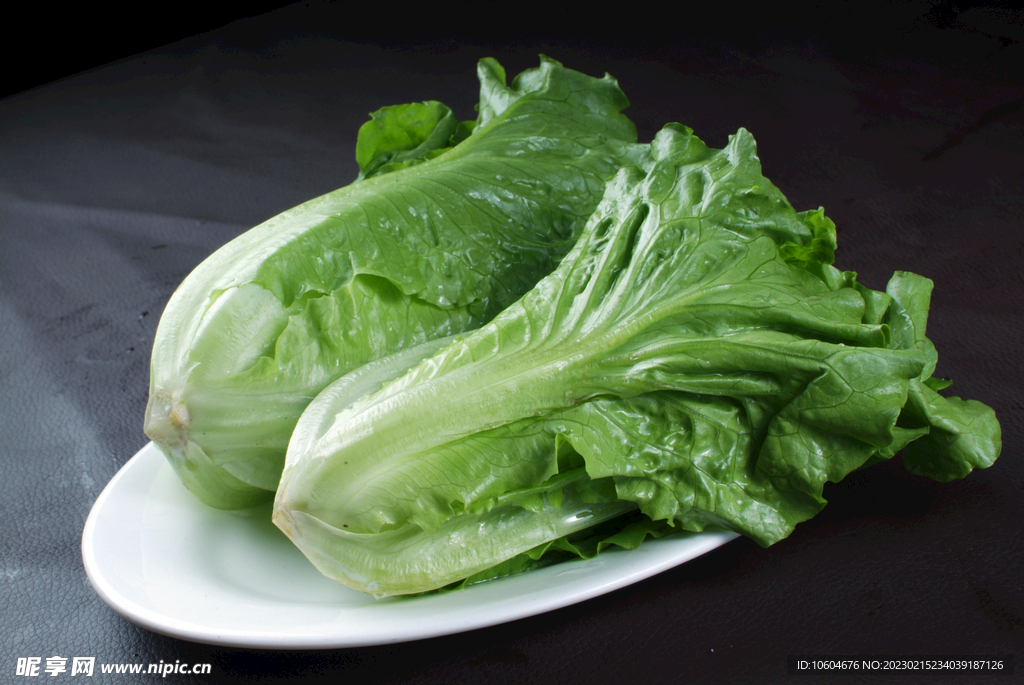 生菜