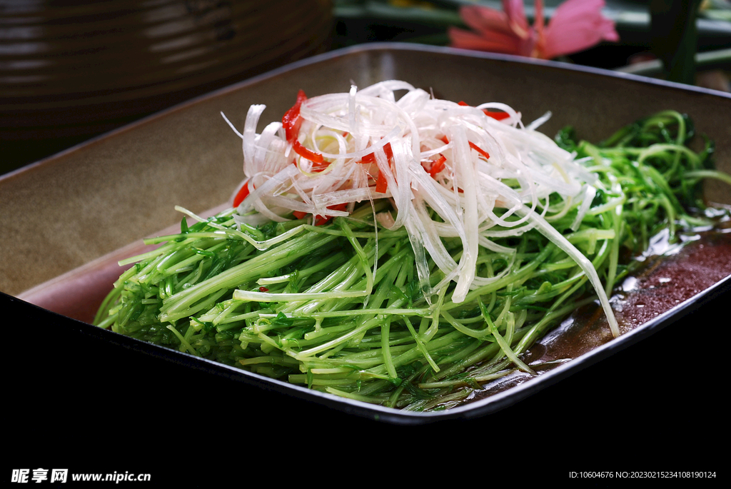 白水豆苗