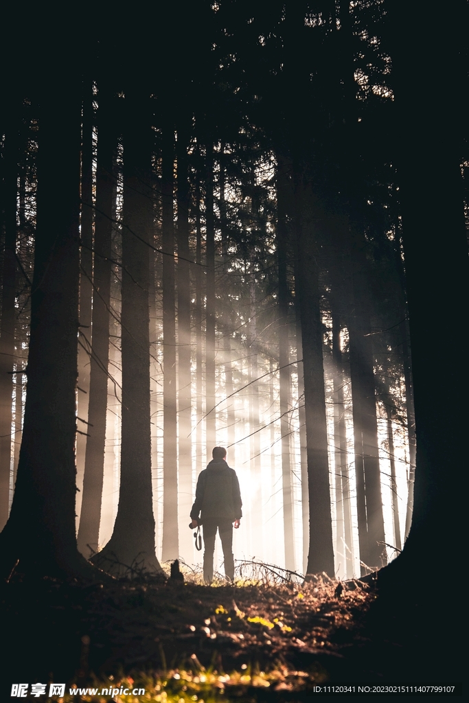 人物与照射进光线的树林