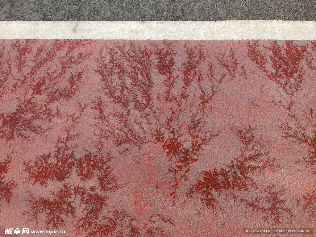 早春跑道上的冰花