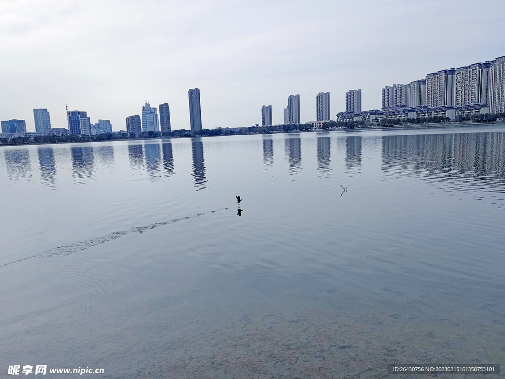 水中飞鸟河边建筑群