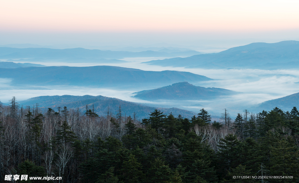 山中森林和远山云海