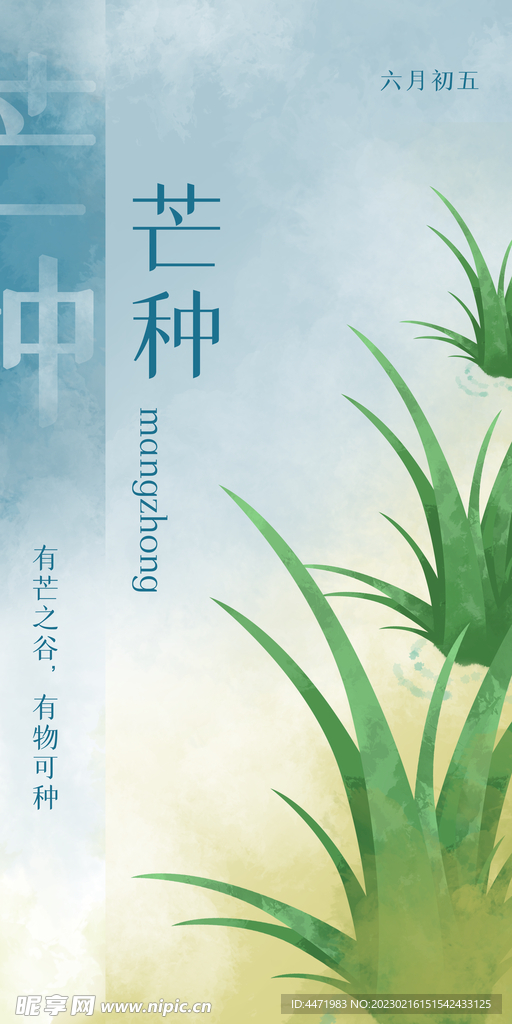 芒种手绘插画 