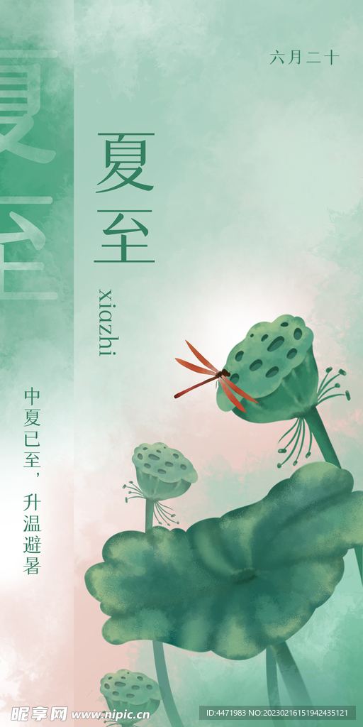 夏至手绘插画 