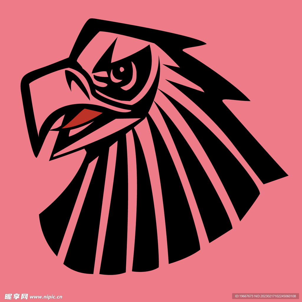 动物  