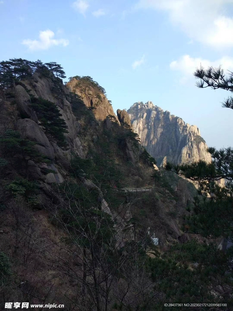 山