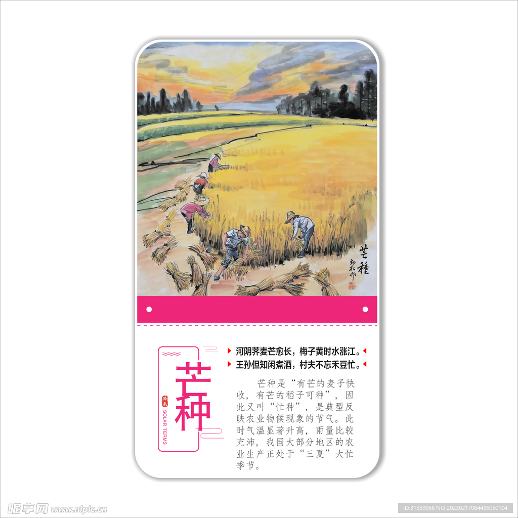 芒种