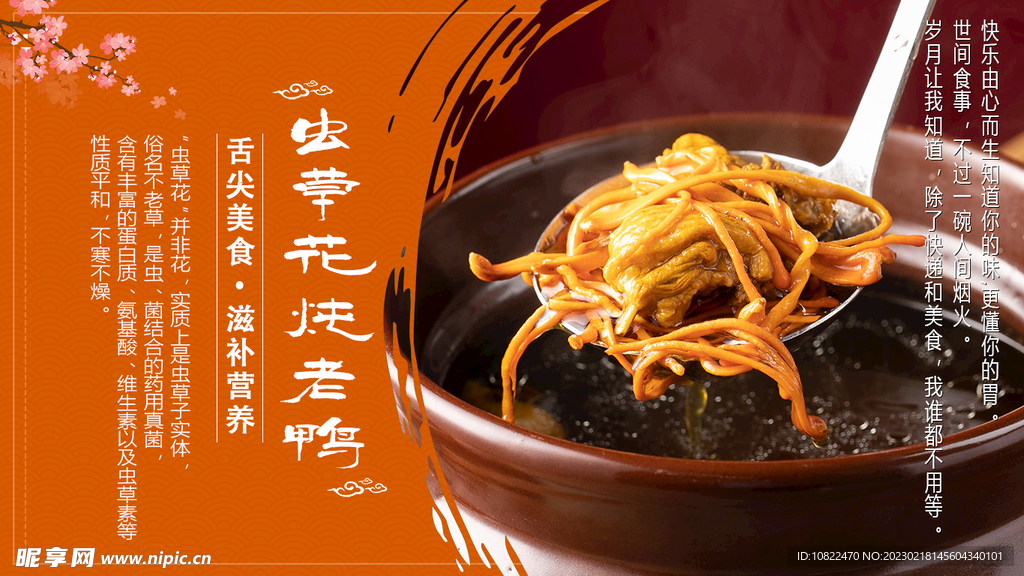 虫草花海报