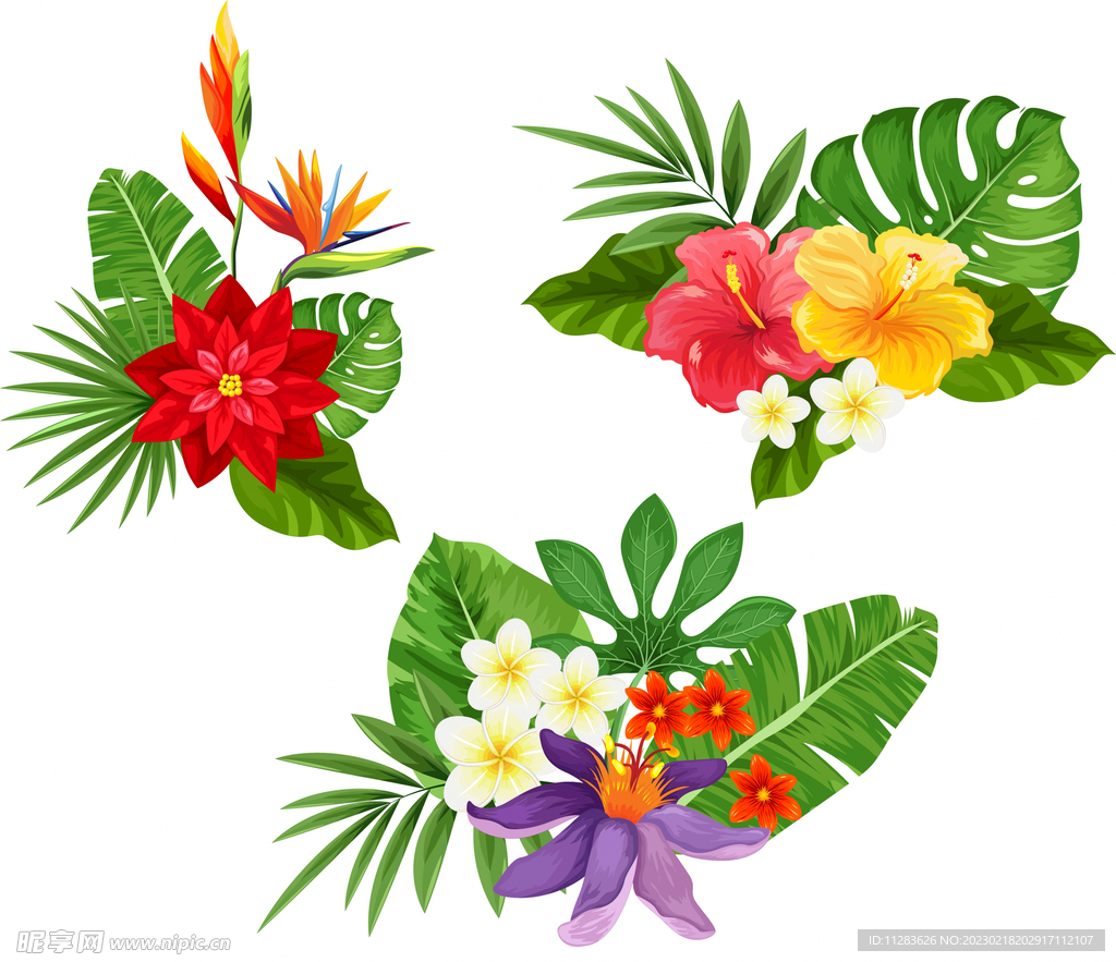 手绘花卉