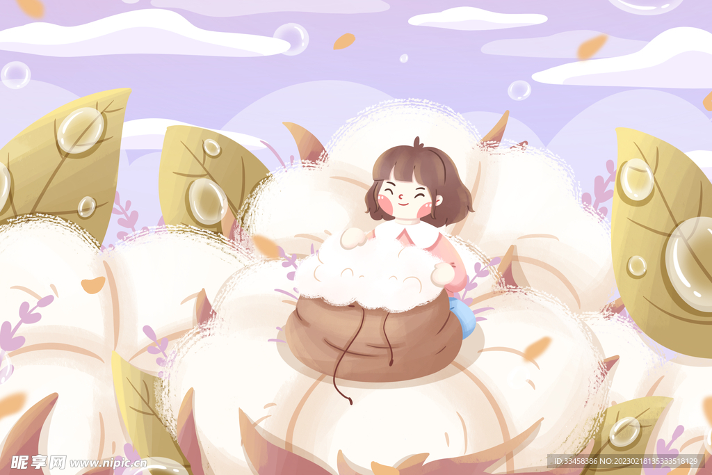 棉花插画