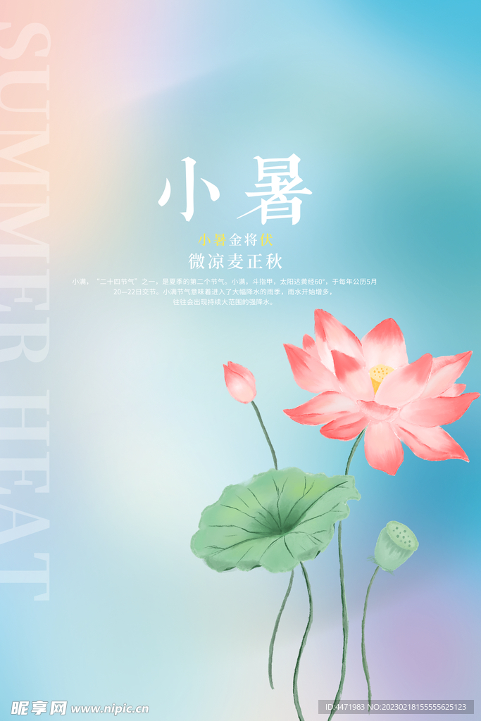 渐变色荷花海报