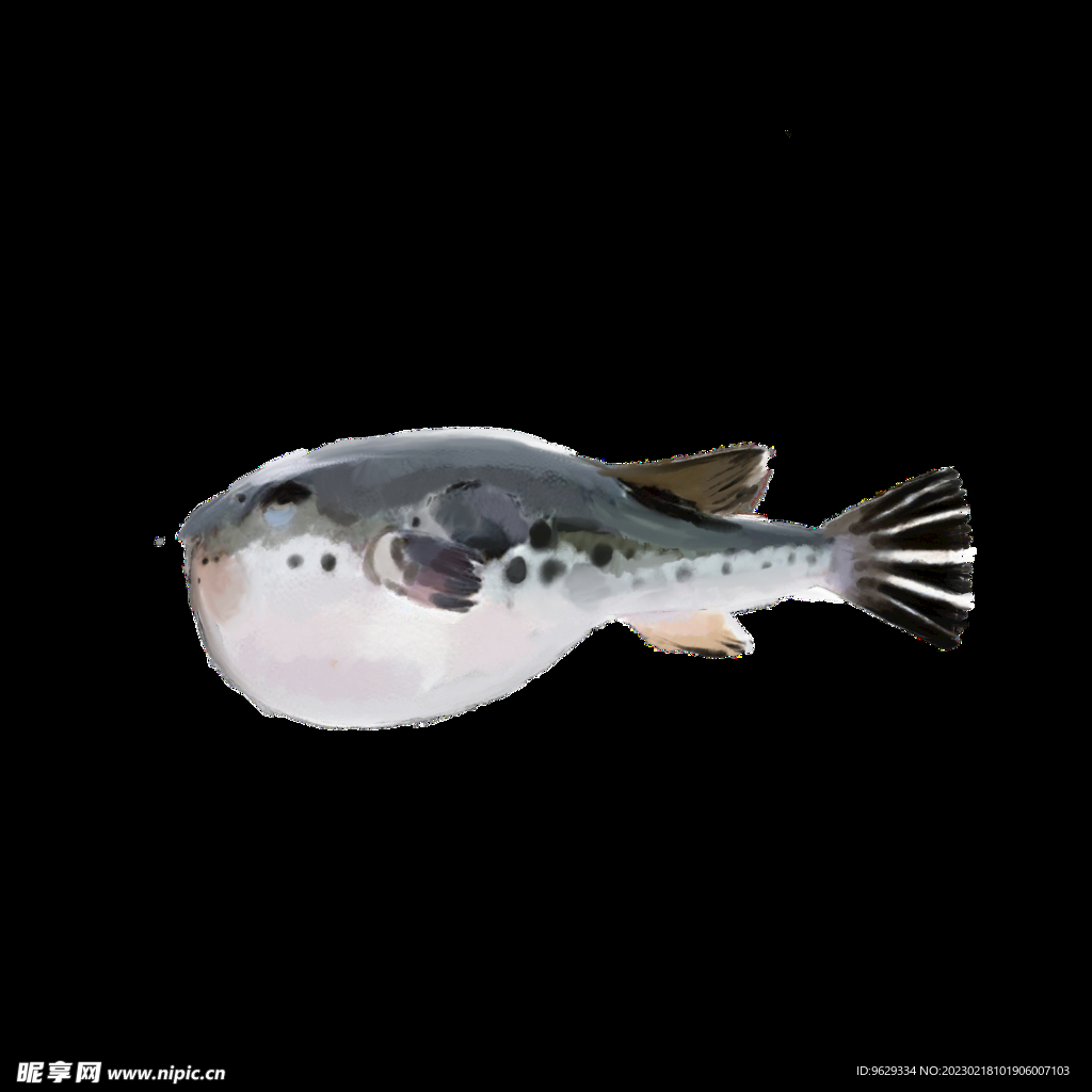 河豚