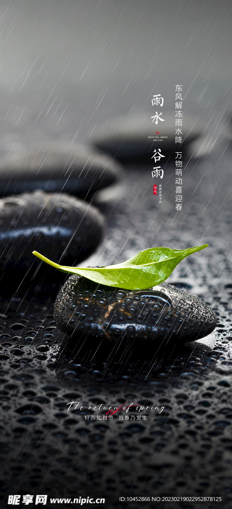 谷雨