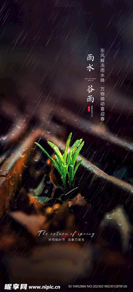 雨水谷雨