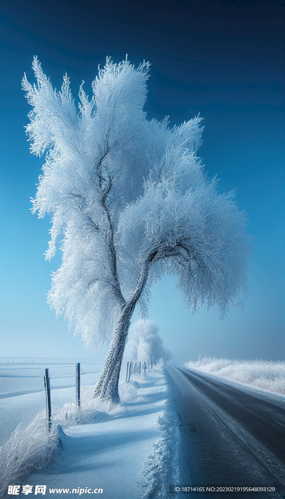雾凇雪景