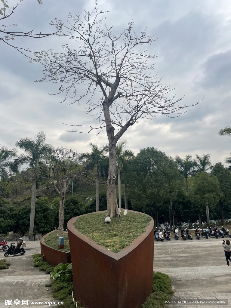 公园美景