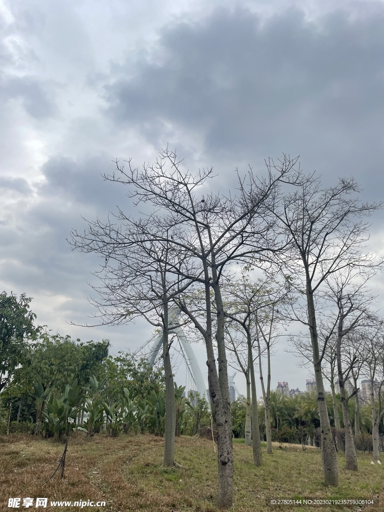 天空风景