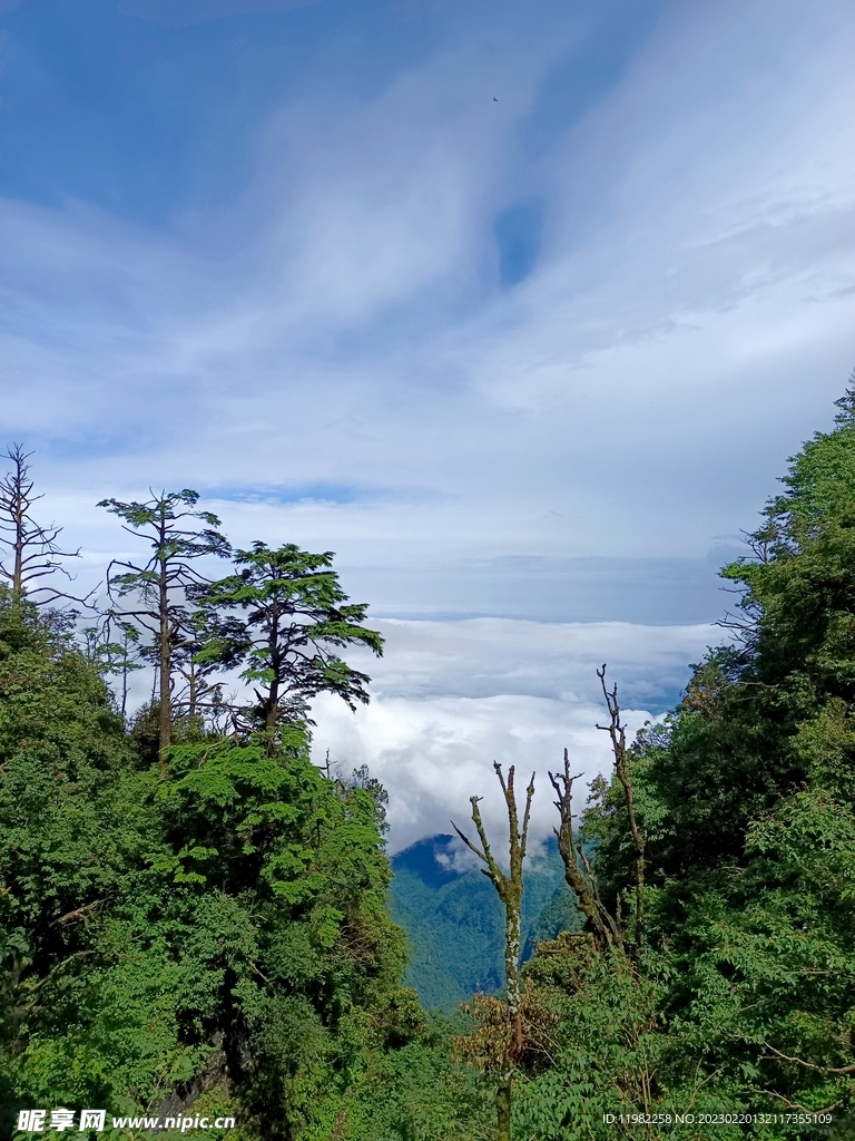 峨眉山云海