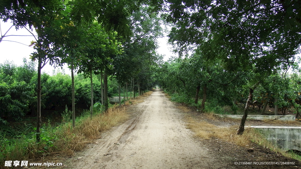 乡间小路