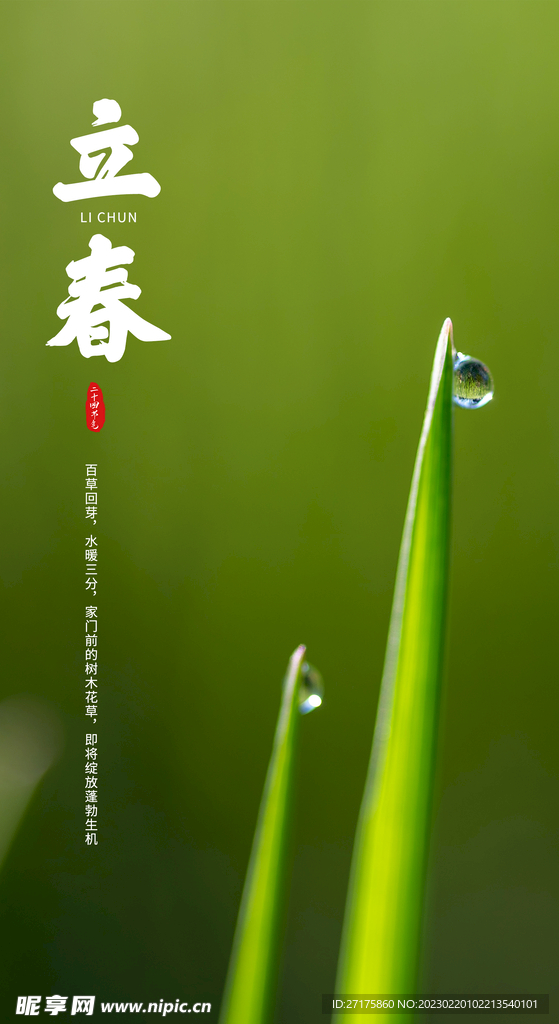 立春