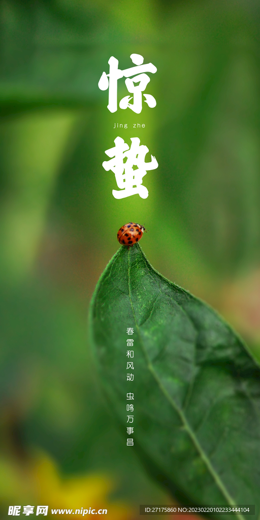 惊蛰