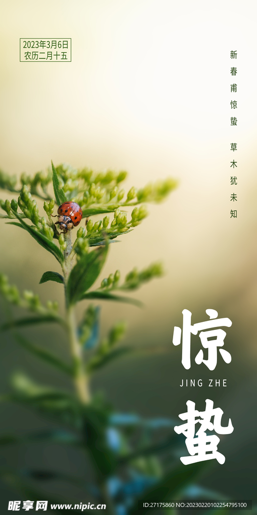惊蛰