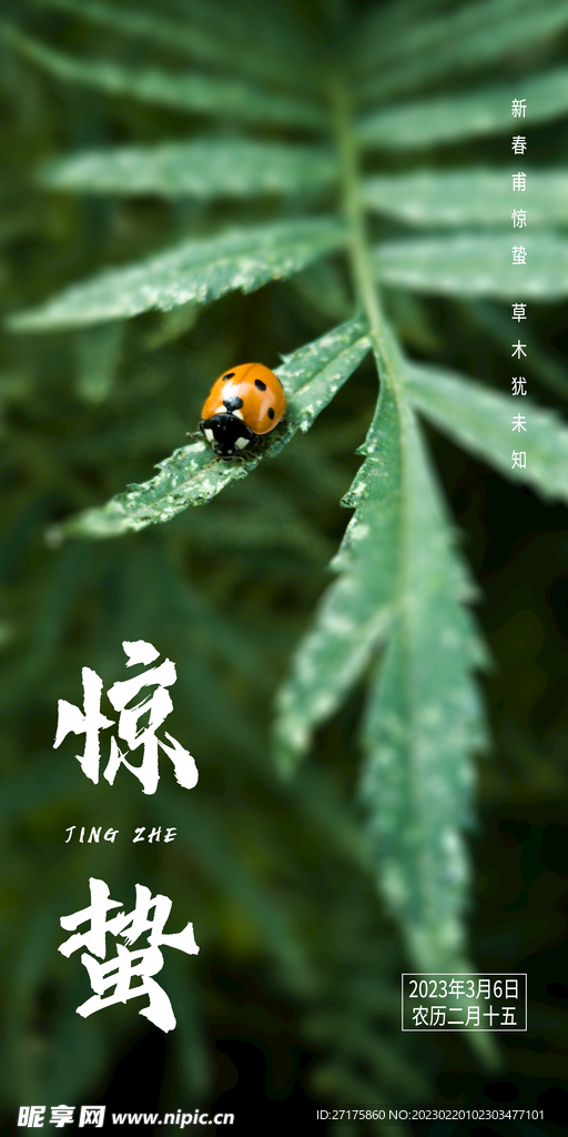 惊蛰