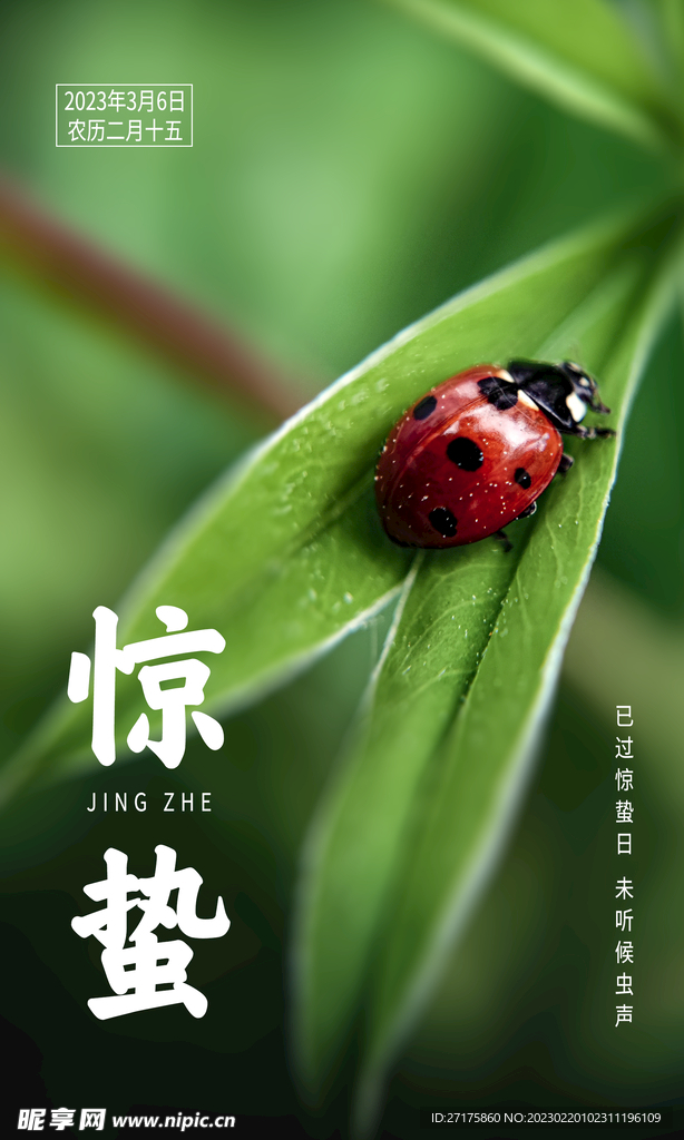 惊蛰