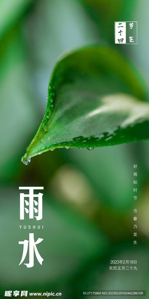 雨水