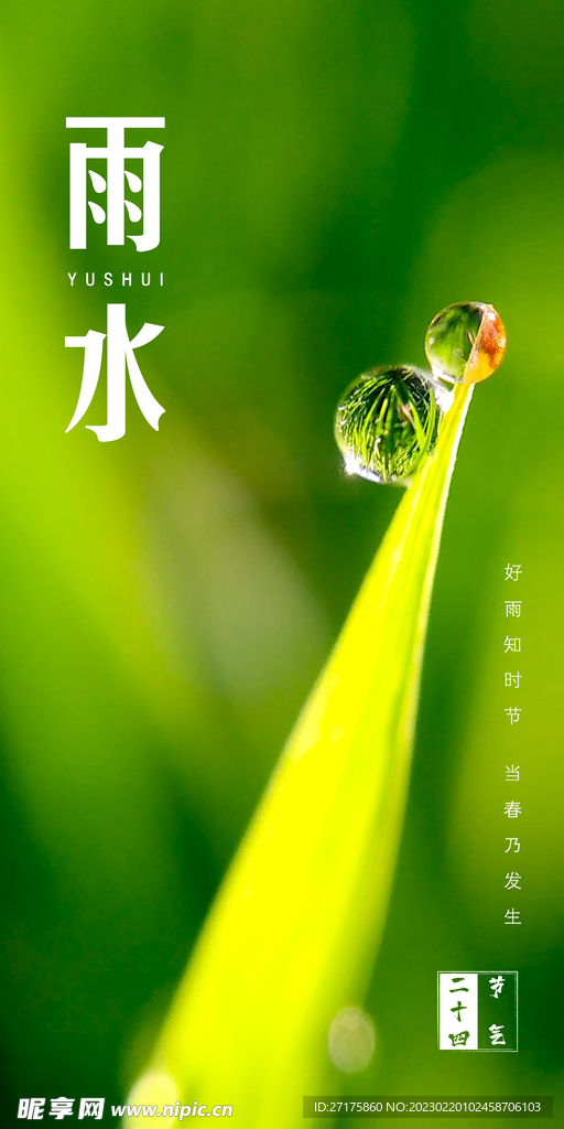雨水