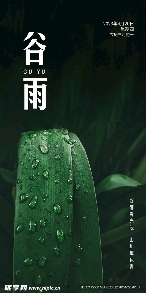 谷雨