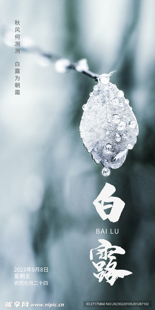 白露