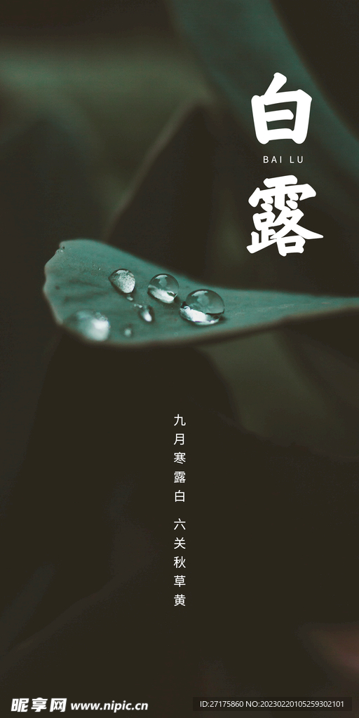 白露