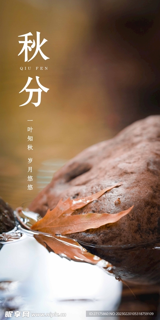 秋分