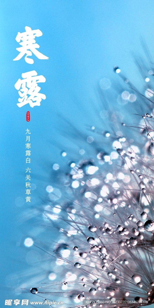 寒露
