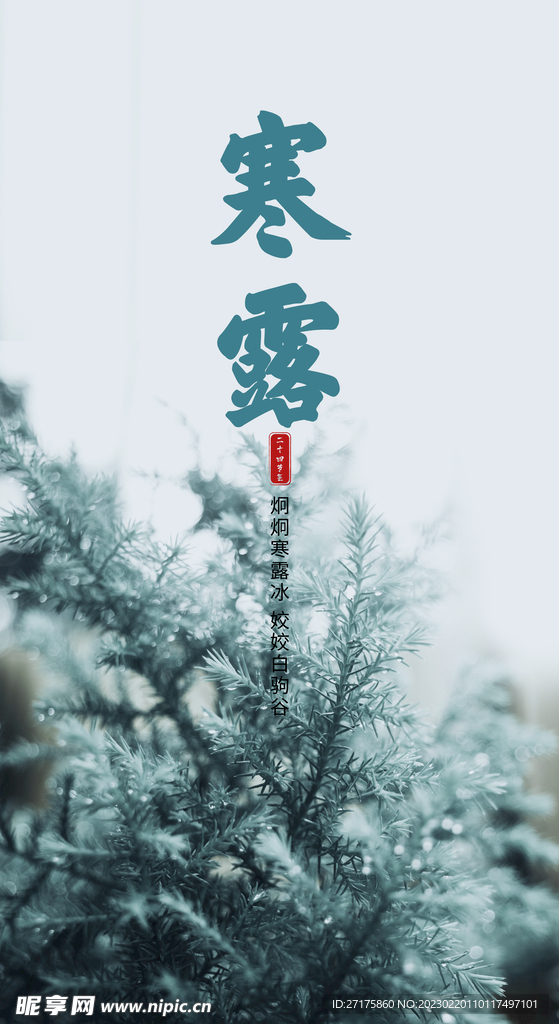寒露