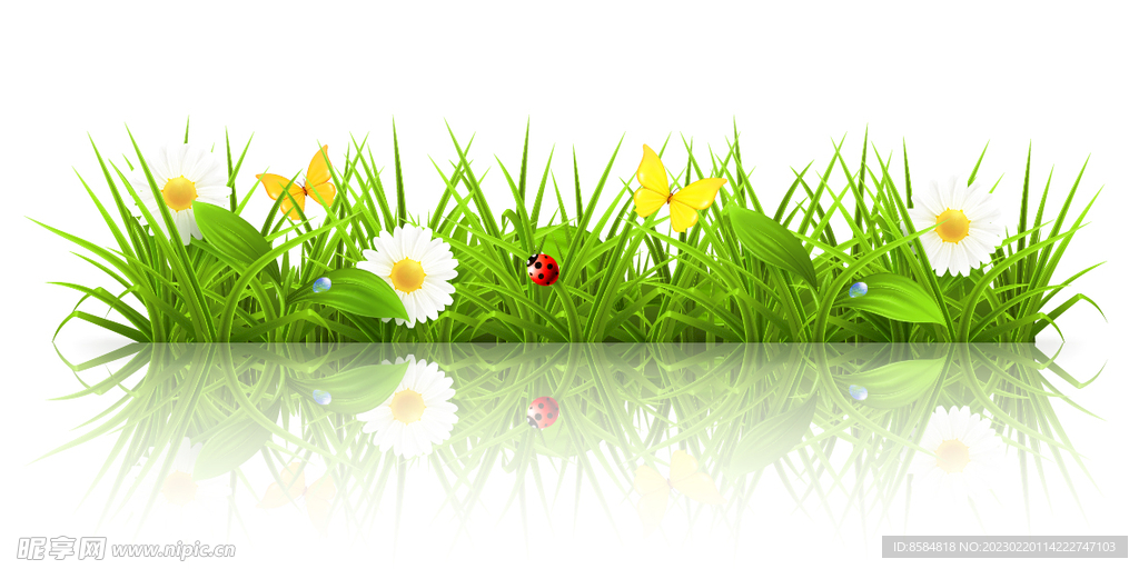 春天草地素材
