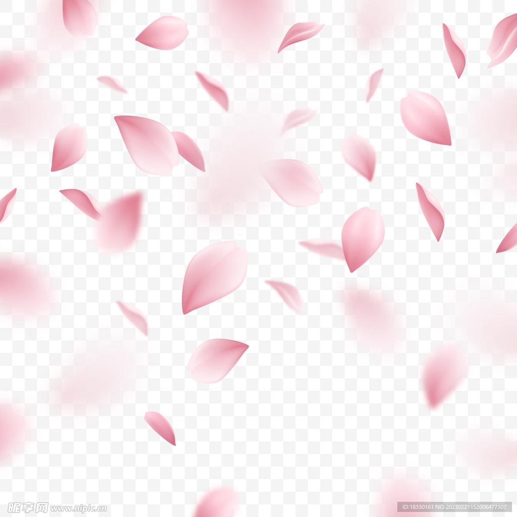 花瓣