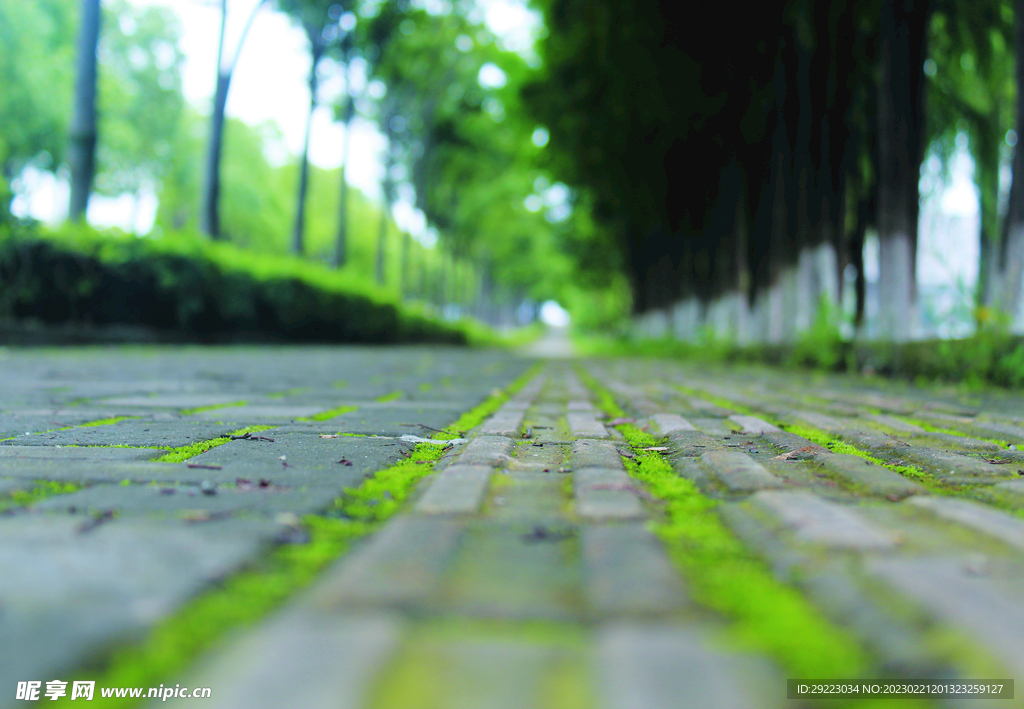 路  