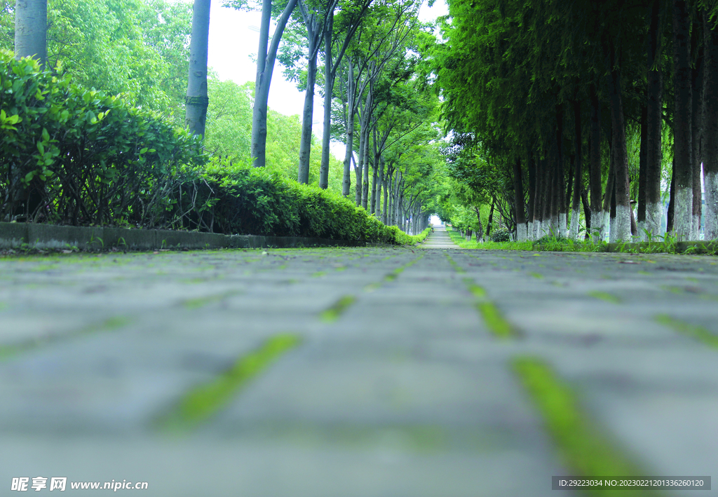 路  
