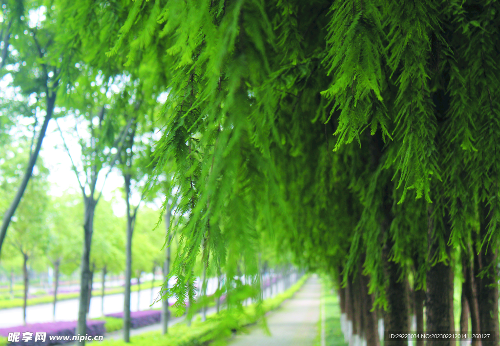 路 