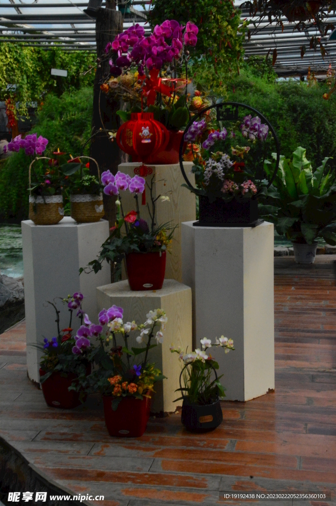 温室花草风景